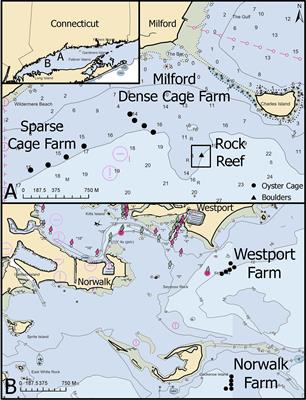 Oyster aquaculture cages provide fish habitat similar to natural structure with minimal differences based on farm location